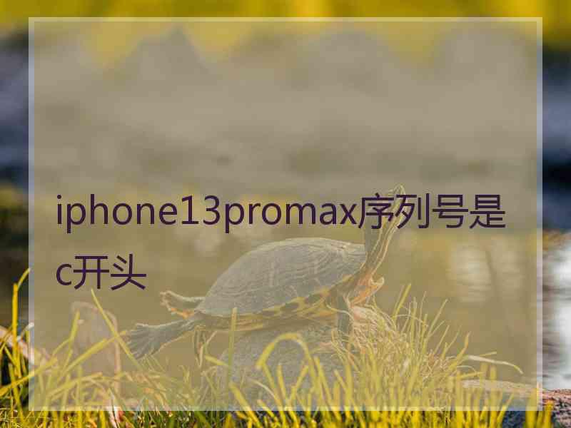 iphone13promax序列号是c开头