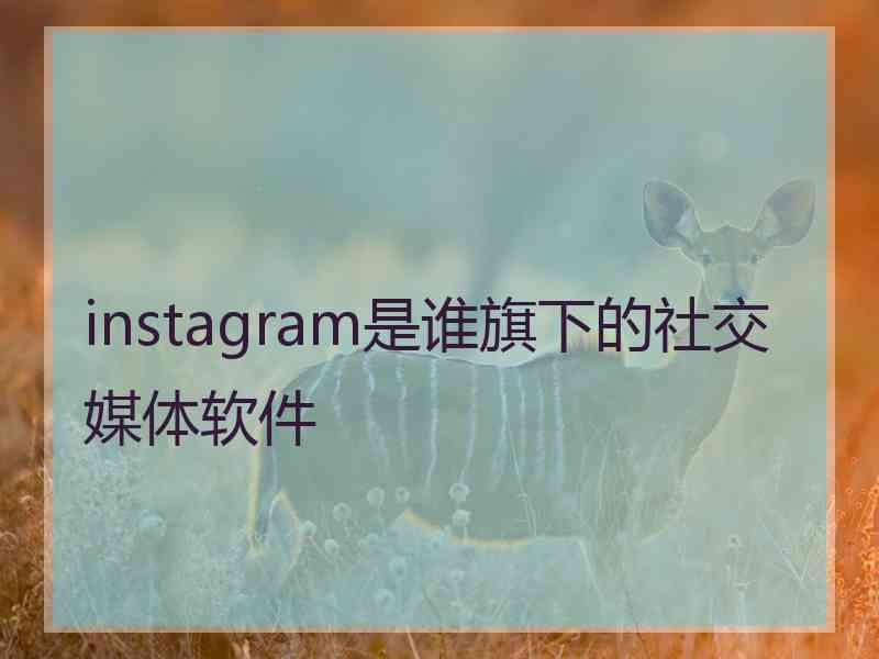 instagram是谁旗下的社交媒体软件