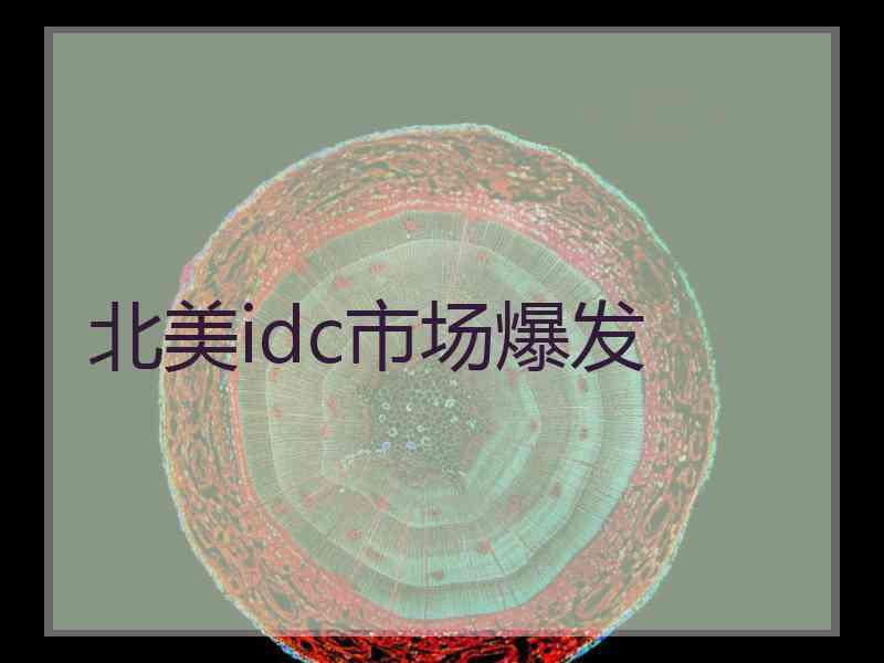 北美idc市场爆发