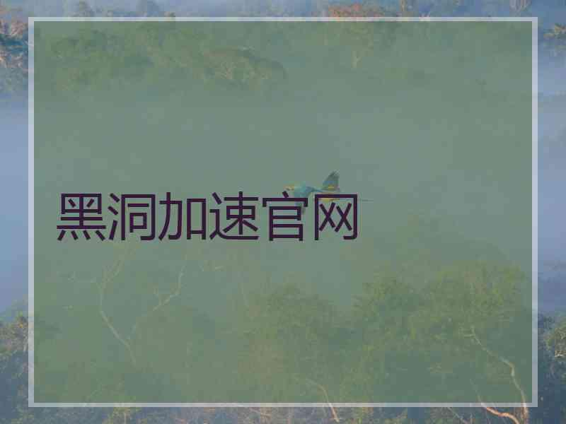 黑洞加速官网