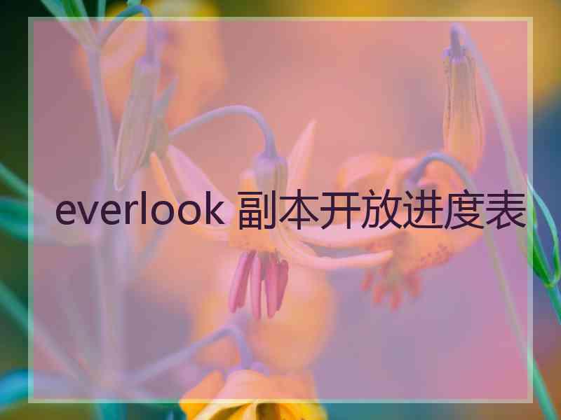 everlook 副本开放进度表