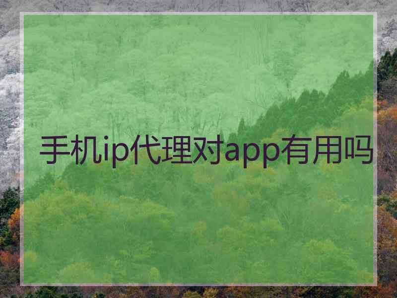 手机ip代理对app有用吗