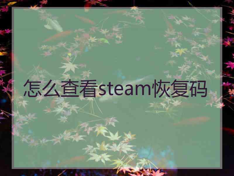 怎么查看steam恢复码