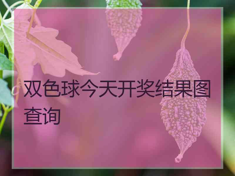 双色球今天开奖结果图查询