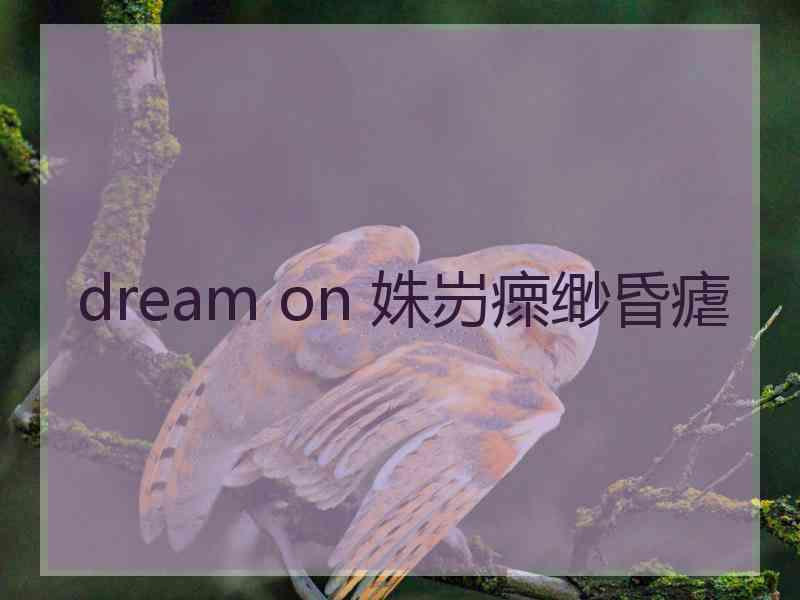 dream on 姝岃瘝缈昏瘧