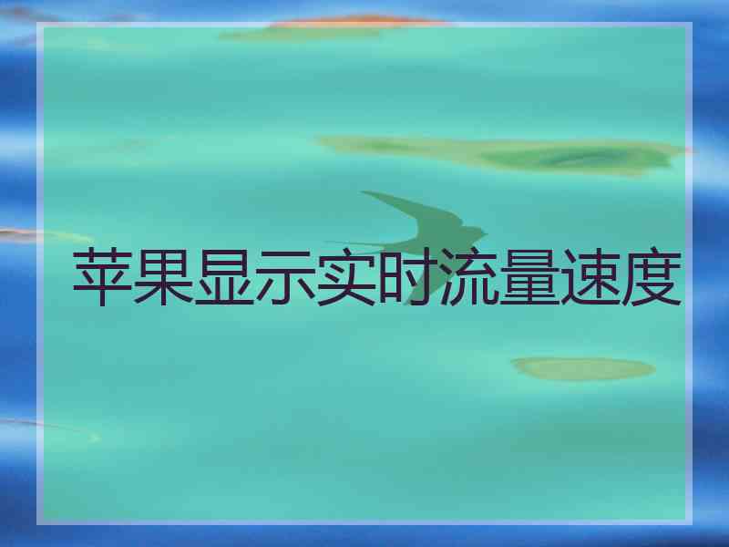 苹果显示实时流量速度