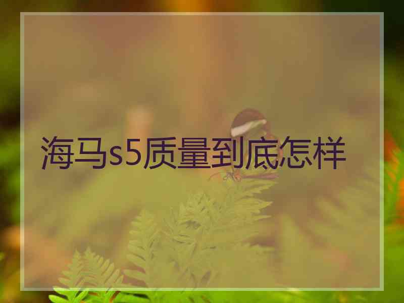 海马s5质量到底怎样