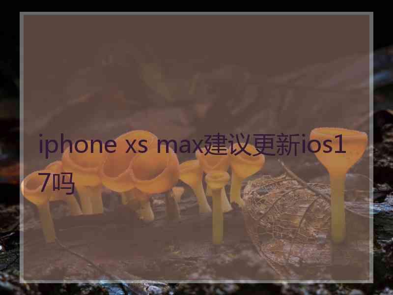 iphone xs max建议更新ios17吗