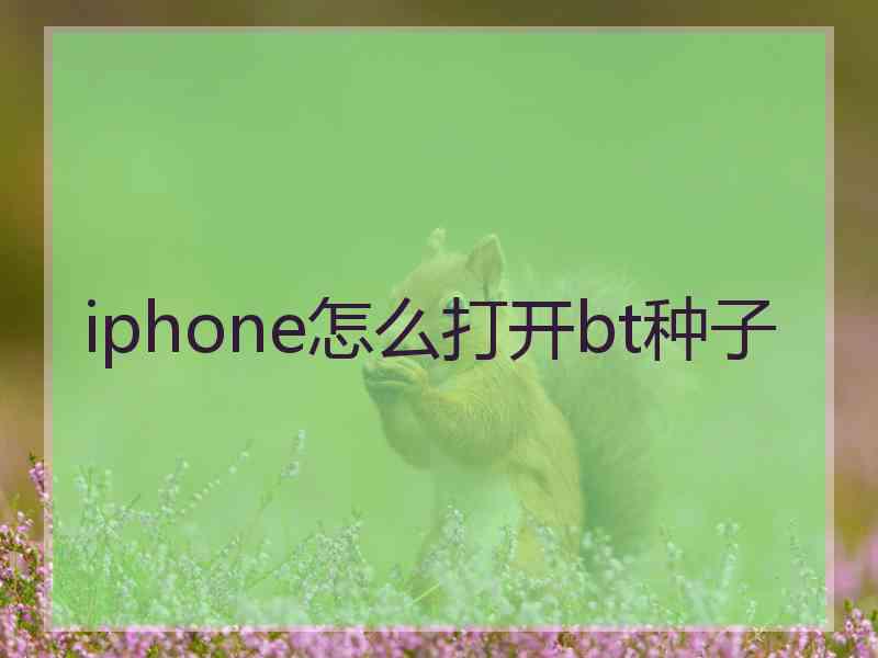 iphone怎么打开bt种子