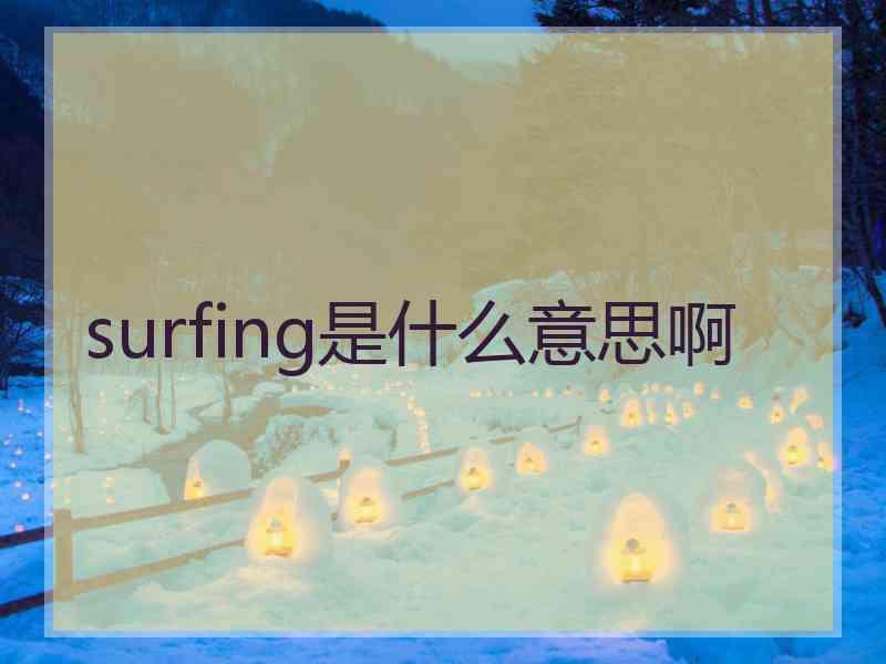 surfing是什么意思啊