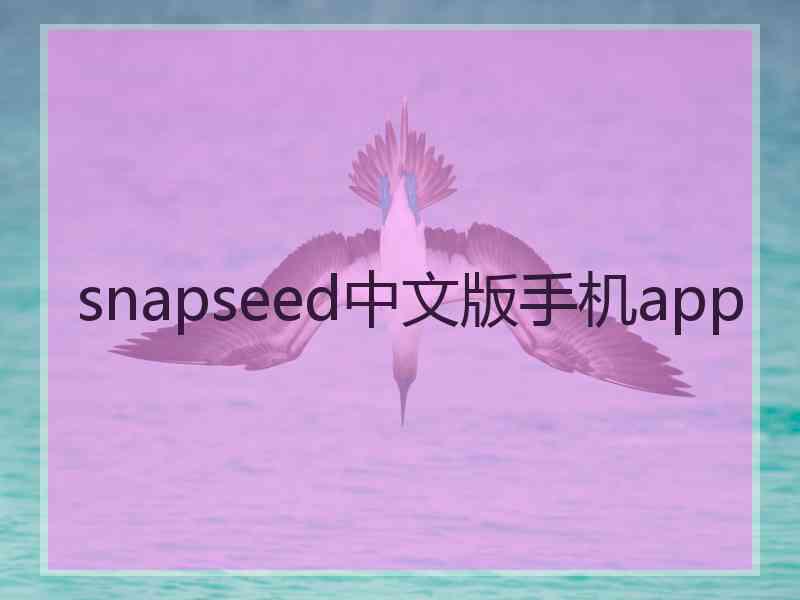 snapseed中文版手机app