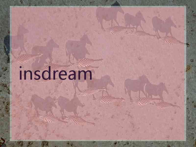 insdream