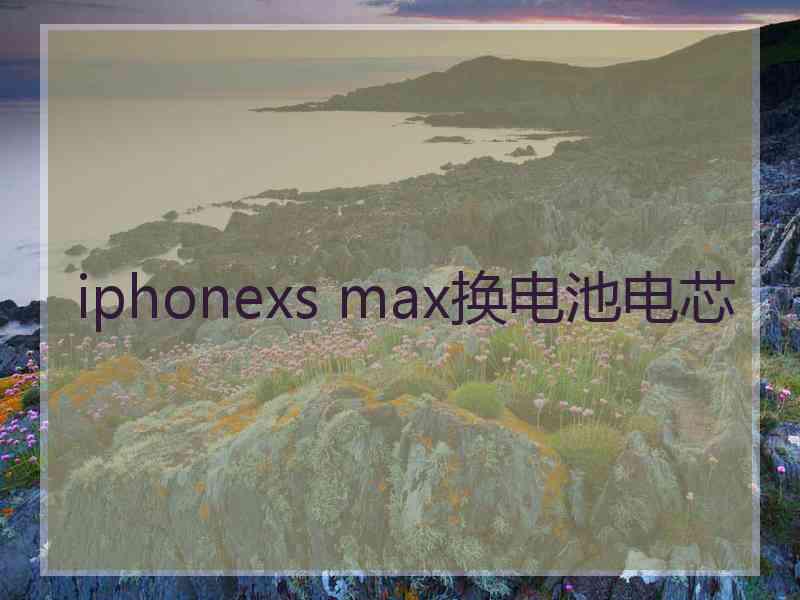 iphonexs max换电池电芯