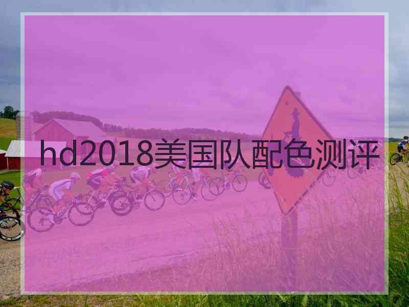 hd2018美国队配色测评