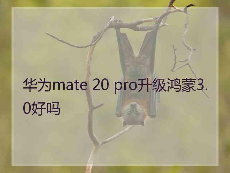 华为mate 20 pro升级鸿蒙3.0好吗