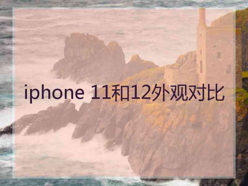 iphone 11和12外观对比