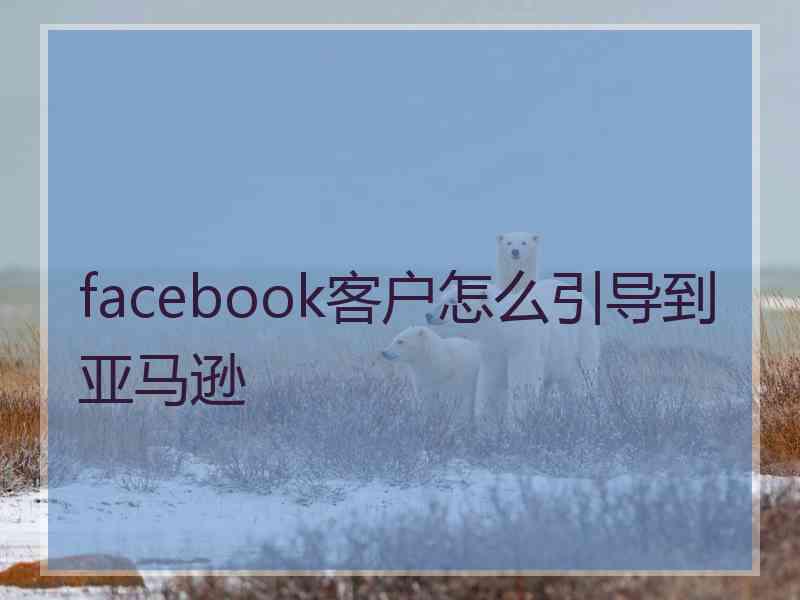 facebook客户怎么引导到亚马逊