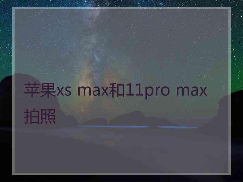 苹果xs max和11pro max拍照