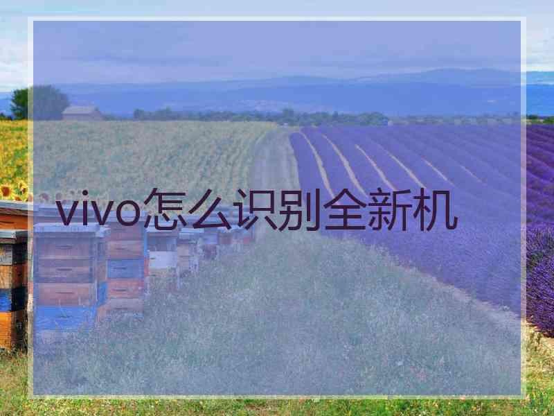 vivo怎么识别全新机