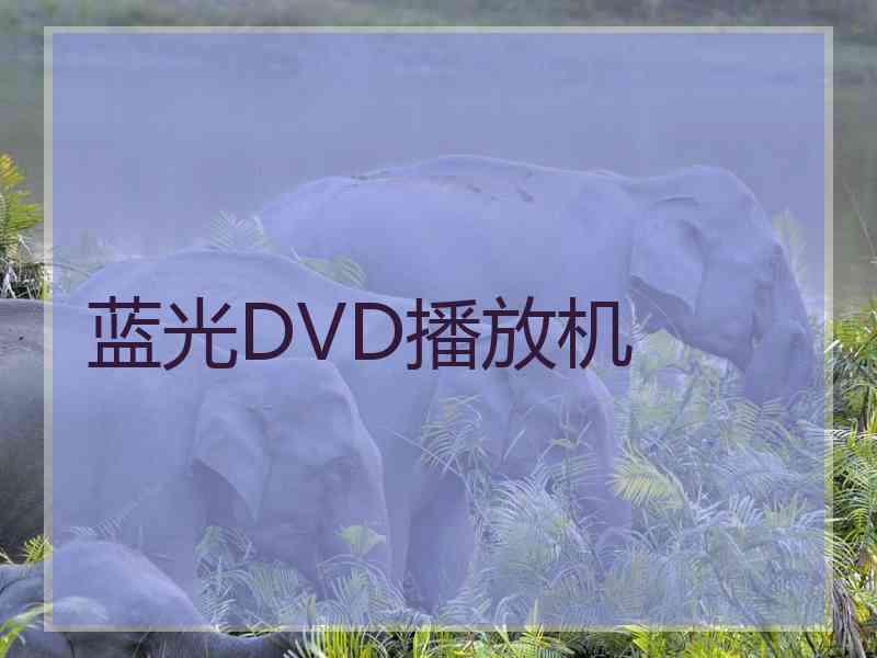 蓝光DVD播放机