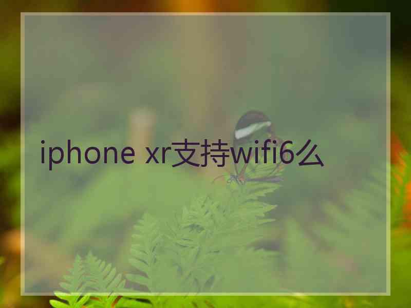 iphone xr支持wifi6么