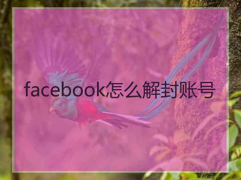 facebook怎么解封账号