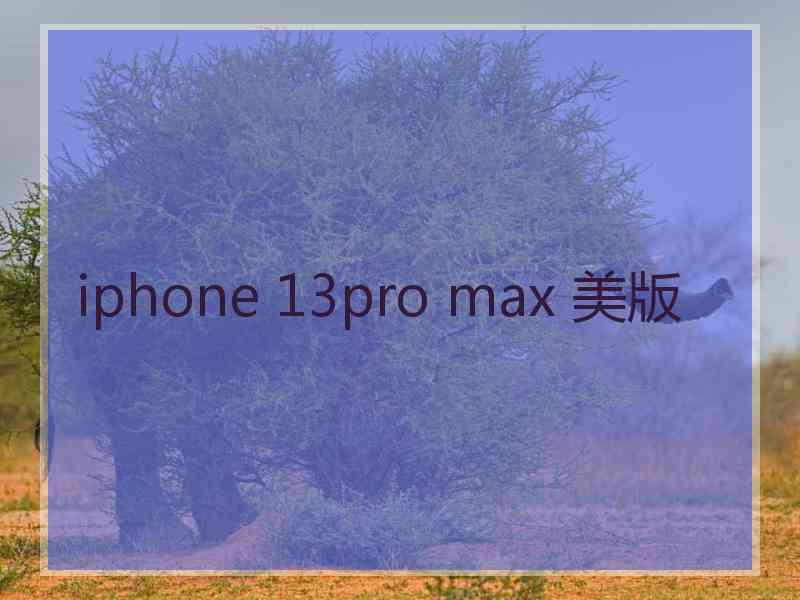 iphone 13pro max 美版