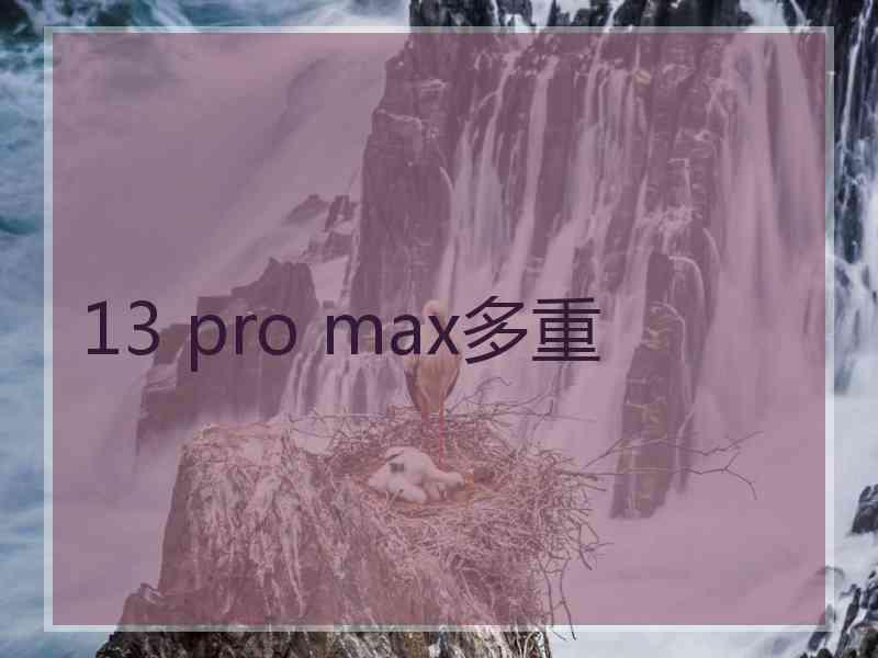 13 pro max多重