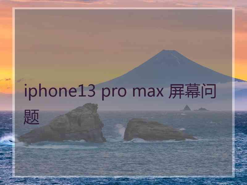 iphone13 pro max 屏幕问题