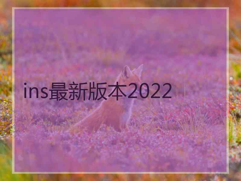 ins最新版本2022