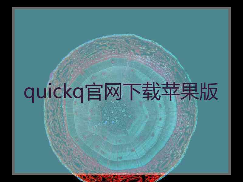 quickq官网下载苹果版