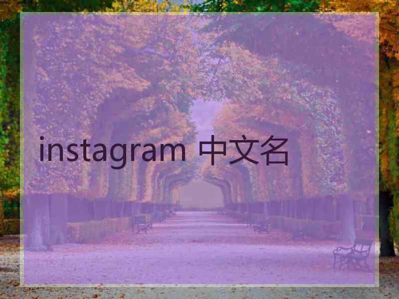 instagram 中文名