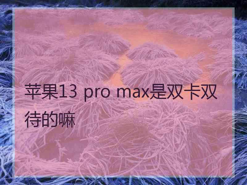 苹果13 pro max是双卡双待的嘛