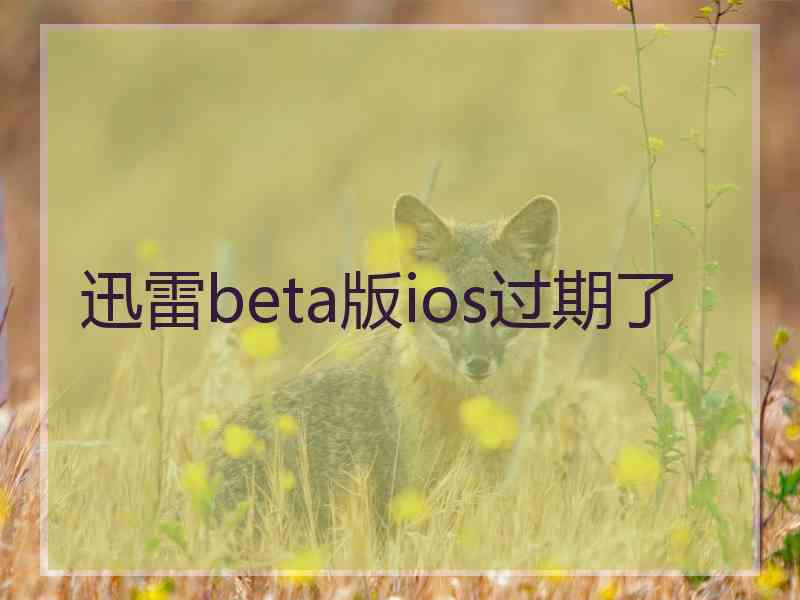 迅雷beta版ios过期了