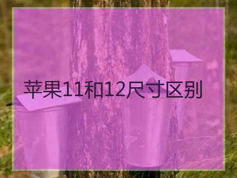 苹果11和12尺寸区别