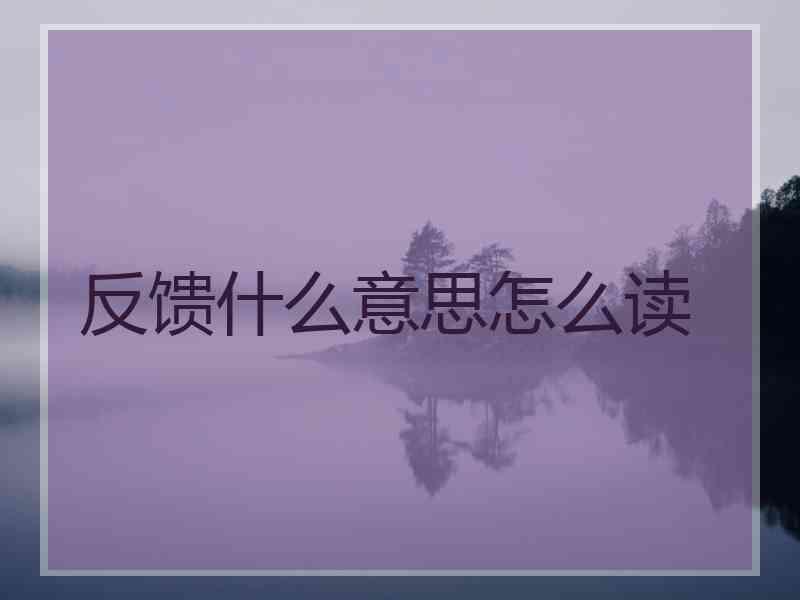 反馈什么意思怎么读