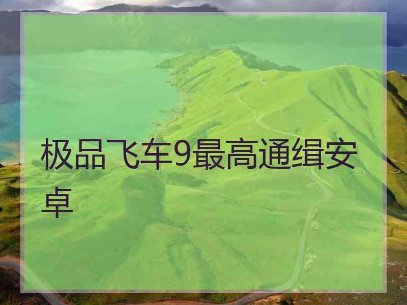 极品飞车9最高通缉安卓