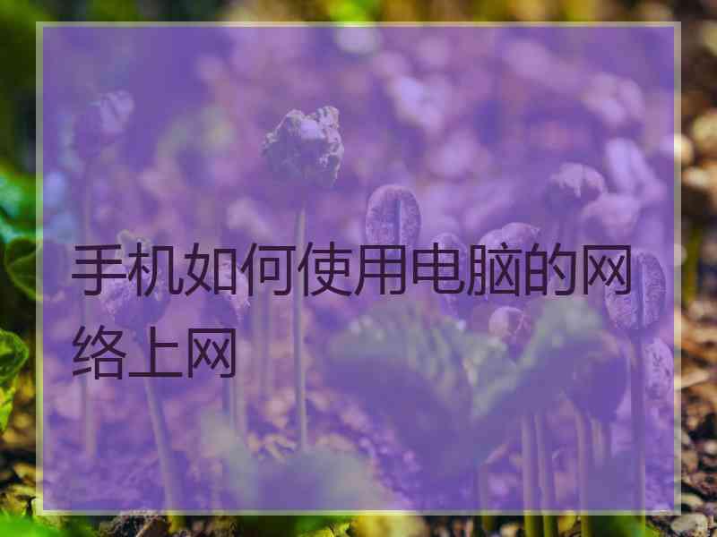 手机如何使用电脑的网络上网