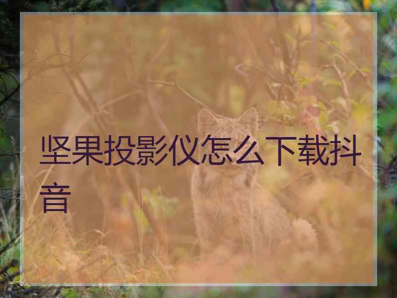 坚果投影仪怎么下载抖音