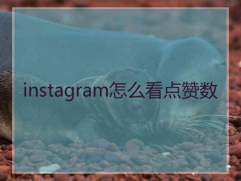 instagram怎么看点赞数