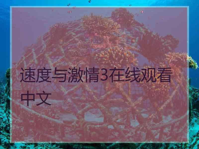 速度与激情3在线观看中文