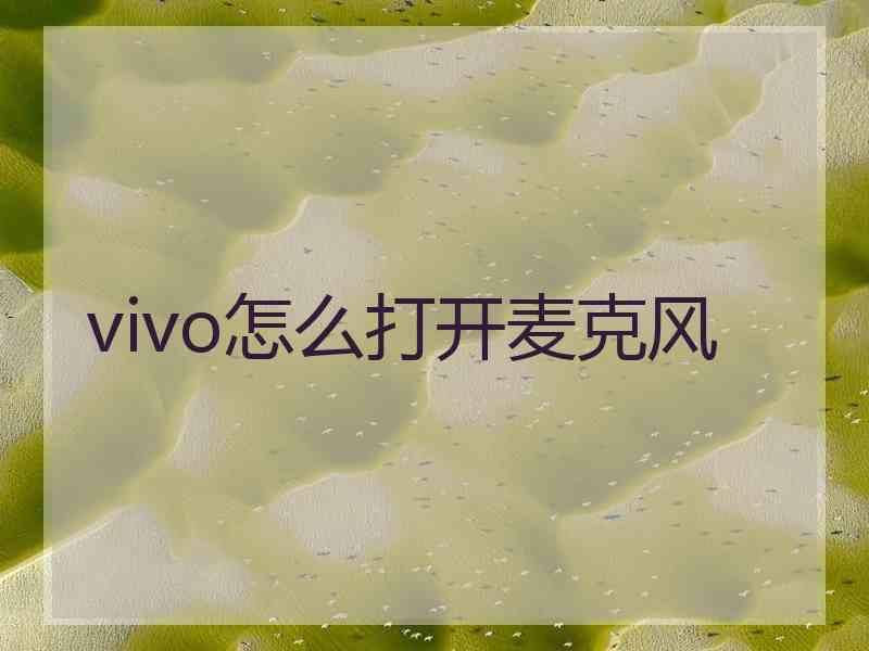 vivo怎么打开麦克风