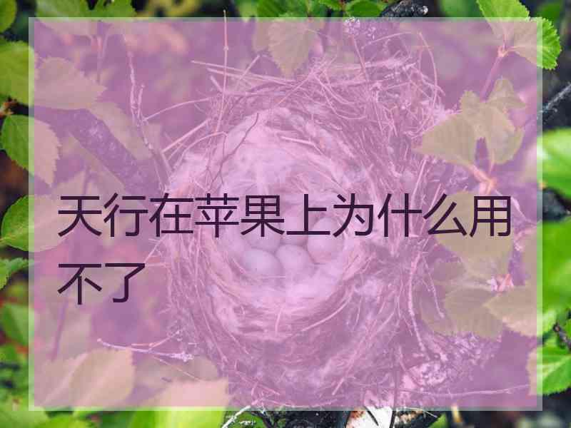 天行在苹果上为什么用不了