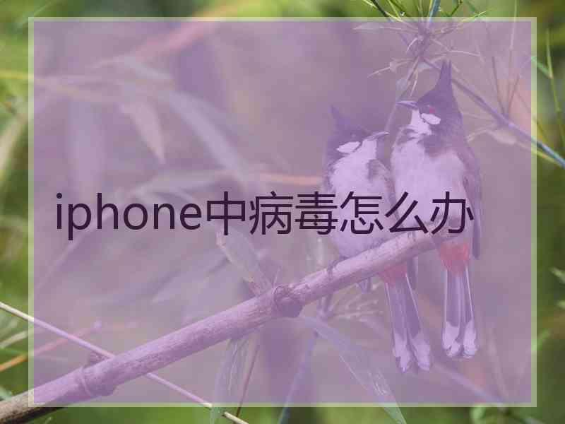 iphone中病毒怎么办