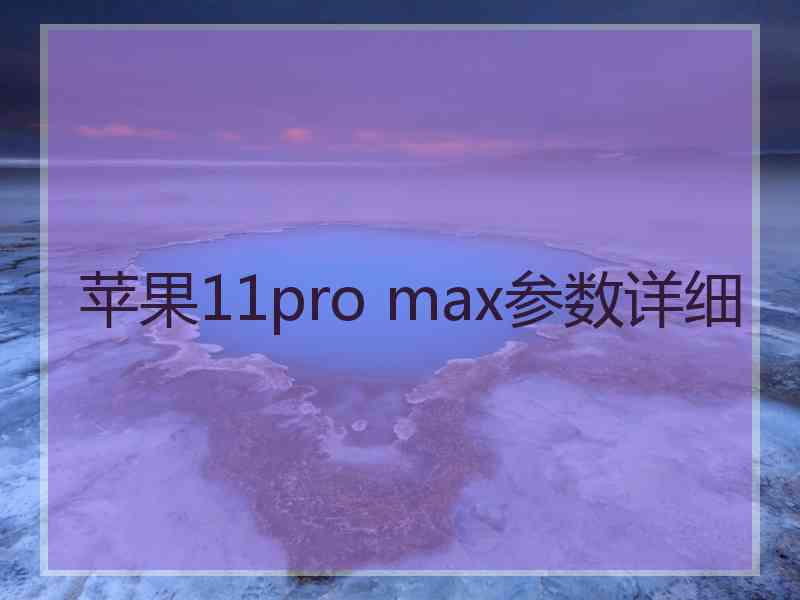 苹果11pro max参数详细