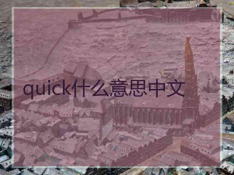 quick什么意思中文