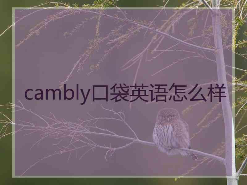 cambly口袋英语怎么样