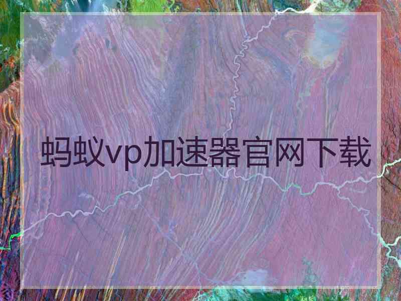 蚂蚁vp加速器官网下载