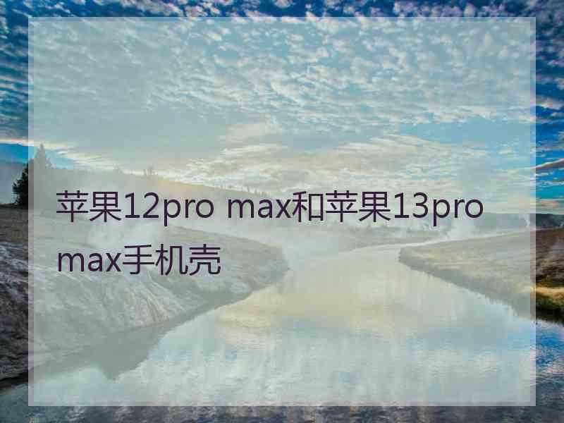 苹果12pro max和苹果13promax手机壳