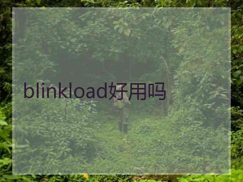 blinkload好用吗